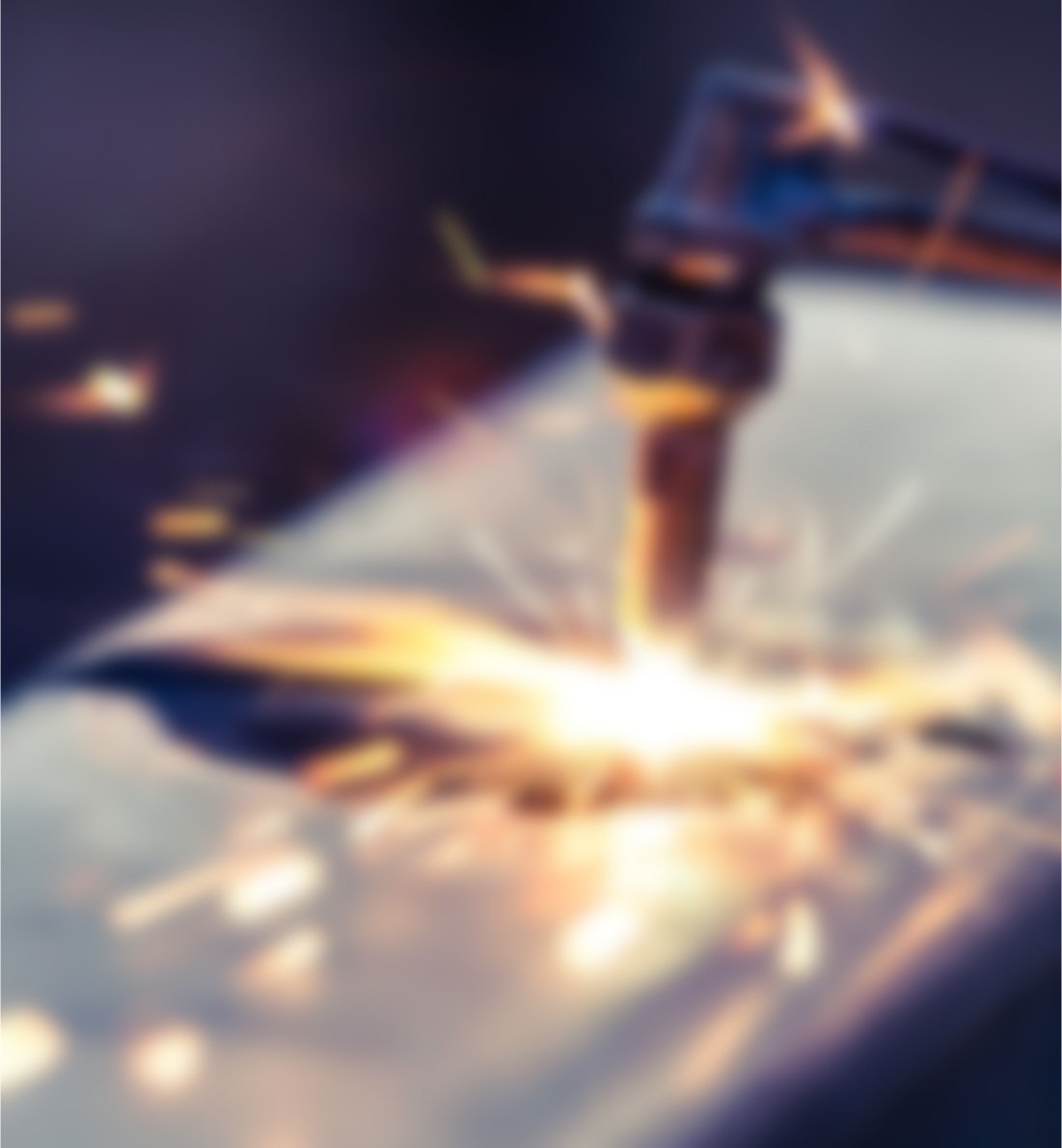 Aliquyam erat sed diam